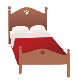 First bed design